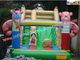 Child Large Customized Commercial Inflatable Slide , PVC Slides With CE Blower